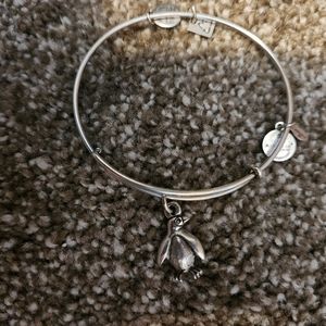 Alex and Ani Penguin Bracelet